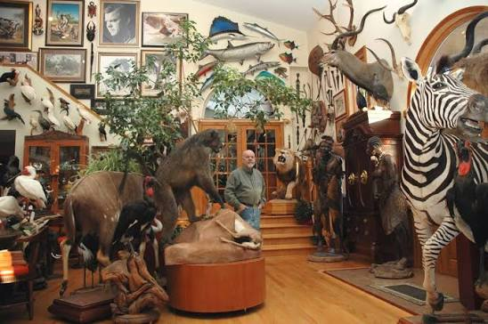 George Swiderski in the Old World Taxidermy studio