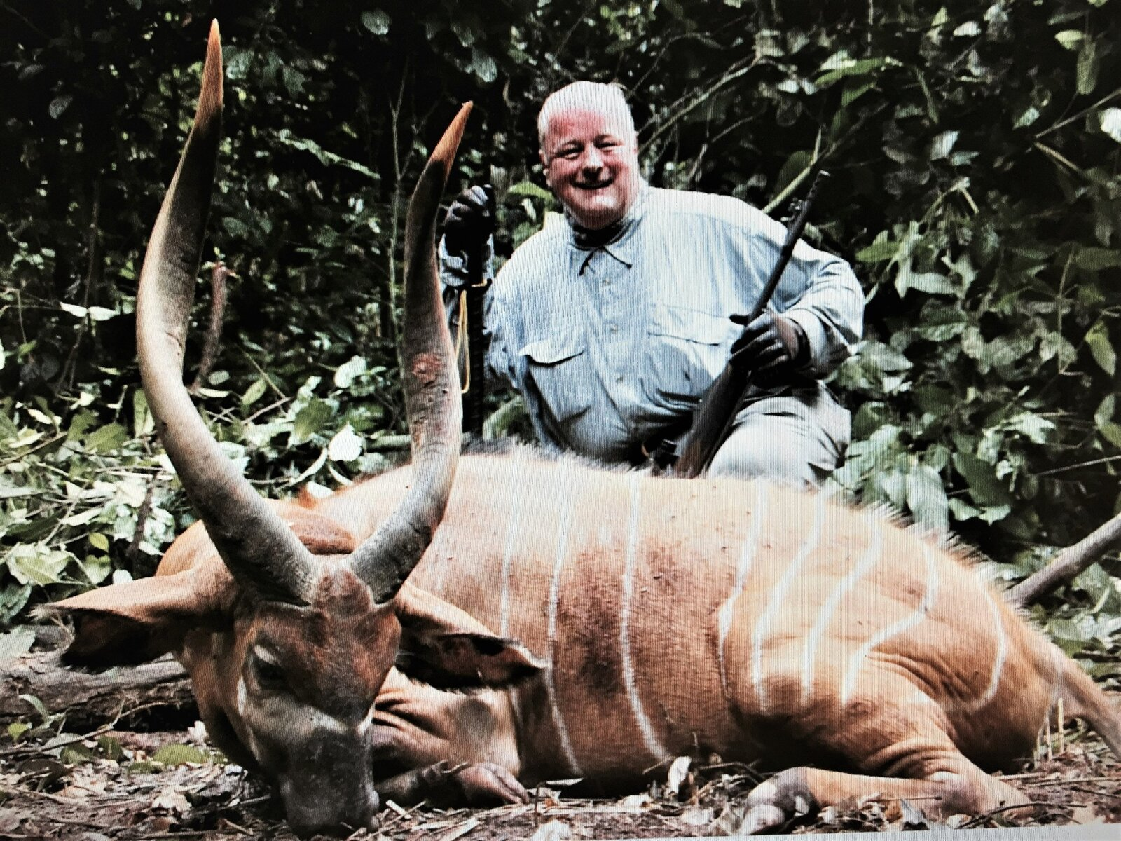 Michael J. Miller on safari